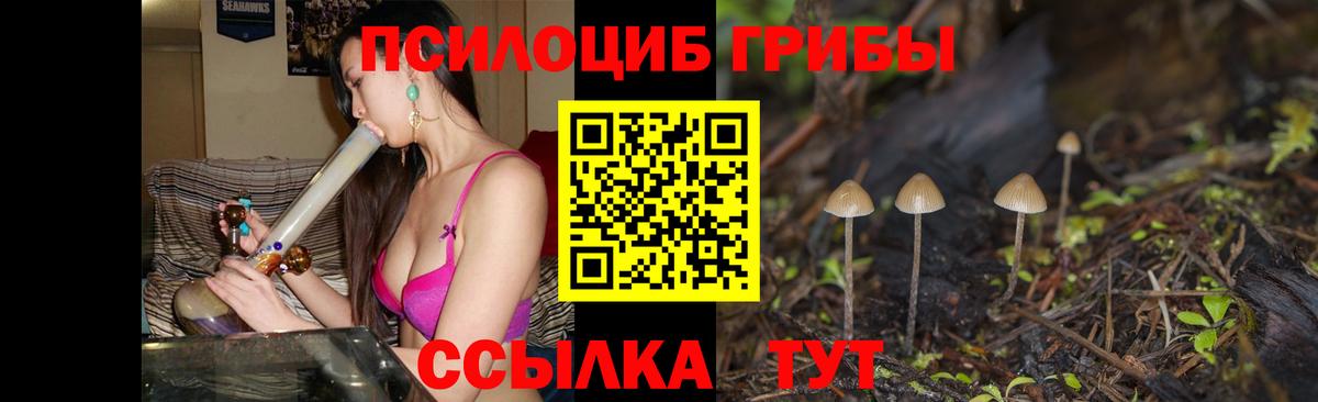 Псилоцибиновые грибы MAGIC MUSHROOMS  Вход с VPN  Гусев  Псилоцибиновые грибы Magic Shrooms 